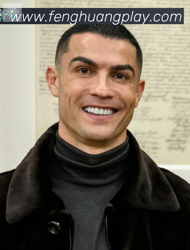 维尼修斯